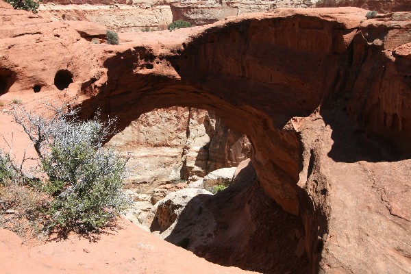 Cassidy Arch [Capitol Reef National Park]