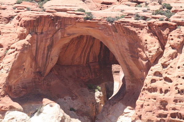 Bilder | Pictures - Cassidy Arch [Capitol Reef National Park]