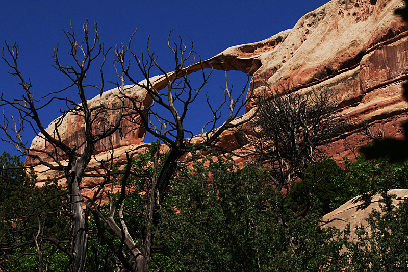 Castle Arch im Canyonlands NP