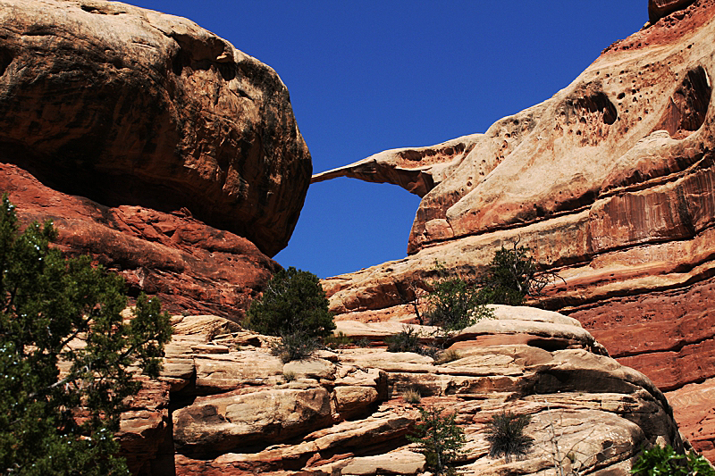 Castle Arch im Canyonlands NP