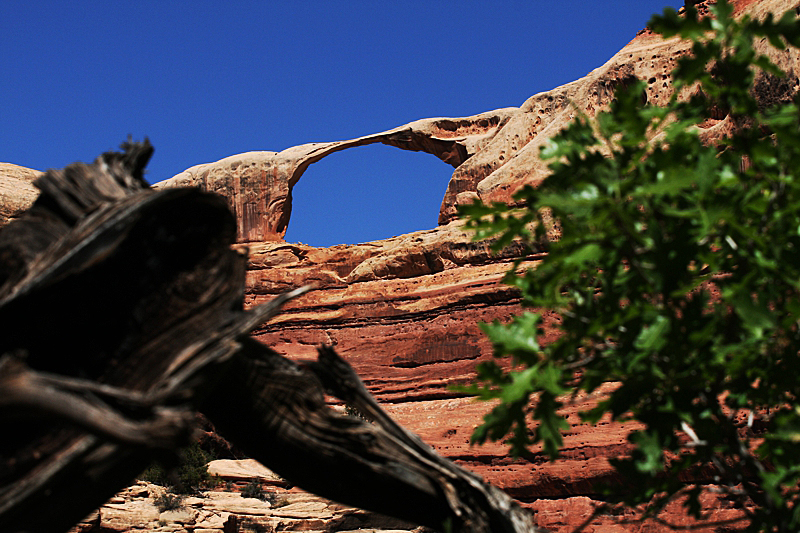 Castle Arch im Canyonlands NP