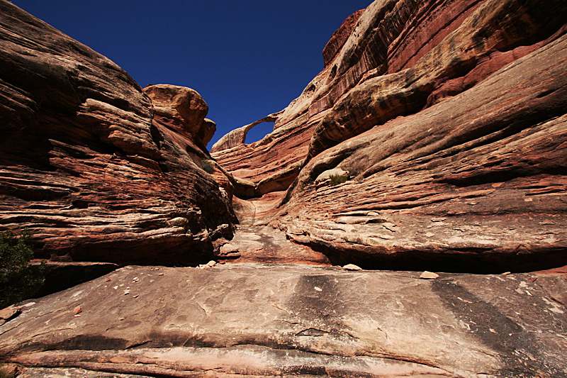 Castle Arch im Canyonlands NP