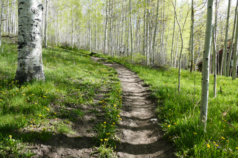 Castle Rock via Elbert Creek Trail [Hermosa Cliffs - San Juan National Forest]