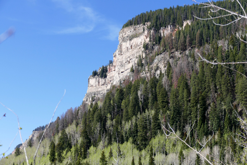 Castle Rock via Elbert Creek Trail [Hermosa Cliffs - San Juan National Forest]