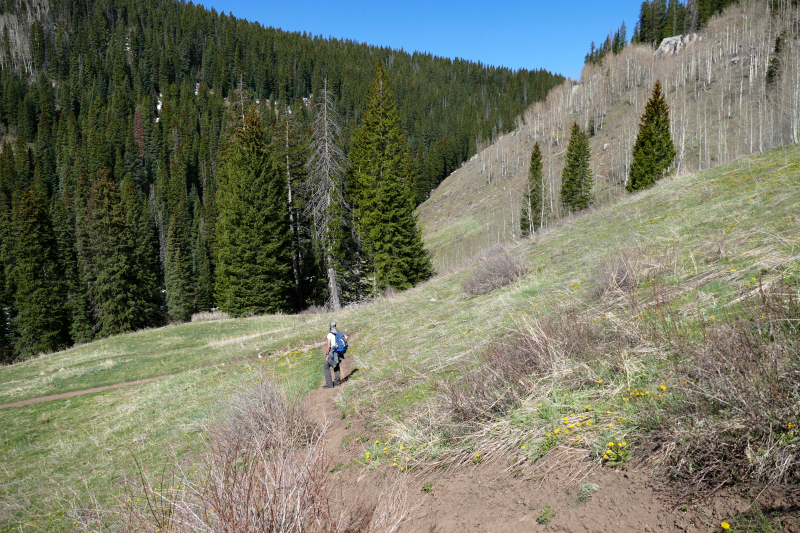 Castle Rock via Elbert Creek Trail [Hermosa Cliffs - San Juan National Forest]