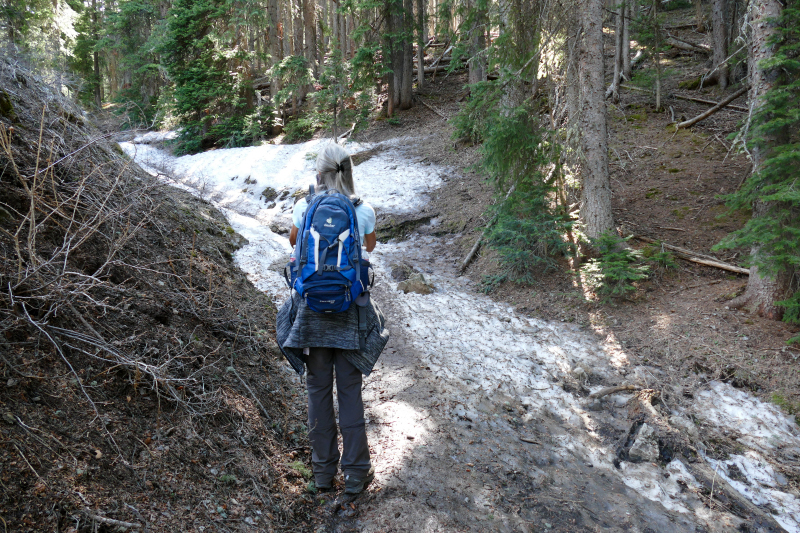 Castle Rock via Elbert Creek Trail [Hermosa Cliffs - San Juan National Forest]