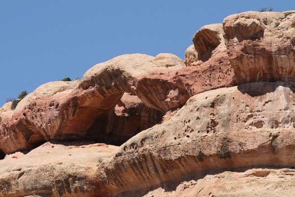 Lavender Canyon