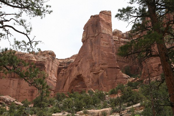 Arch Canyon [Cathedral und Angel Arch]