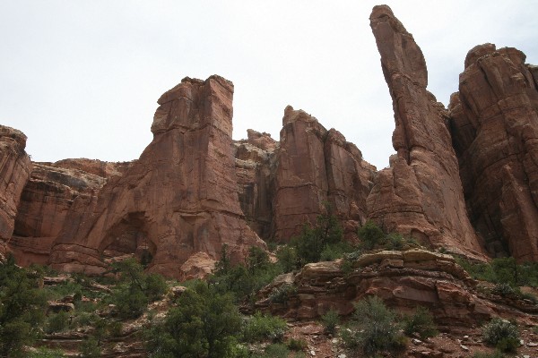 Cathedral Arch [Arch Canyon]