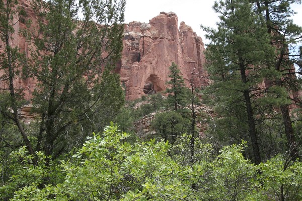 Cathedral Arch [Arch Canyon]