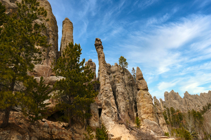 Cathedral Spires [Custer State Park - Black Hills]