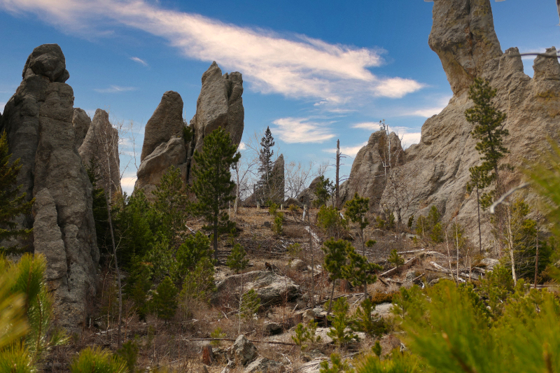 Bilder Cathedral Spires [Custer State Park] - Pictures Cathedral Spires [Custer State Park]