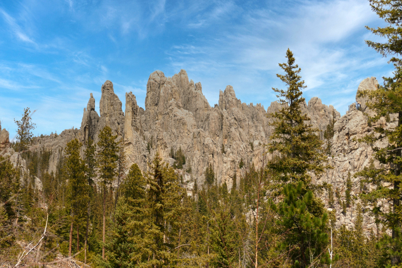 Bilder Cathedral Spires [Custer State Park] - Pictures Cathedral Spires [Custer State Park]