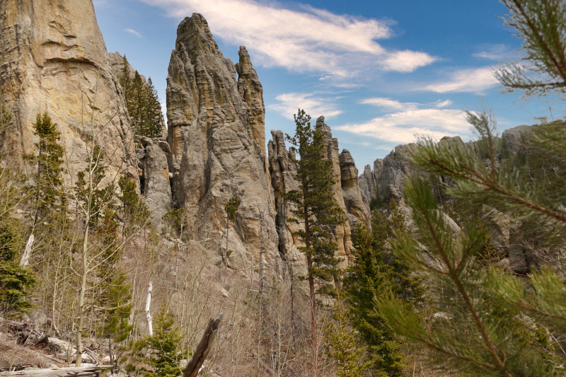 Bilder Cathedral Spires [Custer State Park] - Pictures Cathedral Spires [Custer State Park]