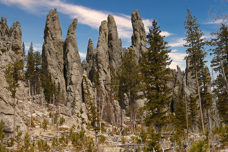 Bilder Cathedral Spires [Custer State Park] - Pictures Cathedral Spires [Custer State Park]