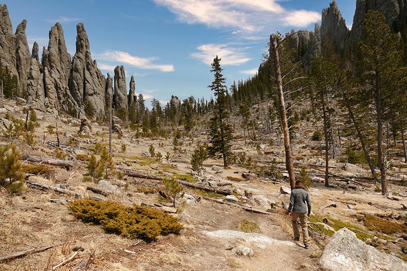 Bilder Cathedral Spires [Custer State Park] - Pictures Cathedral Spires [Custer State Park]