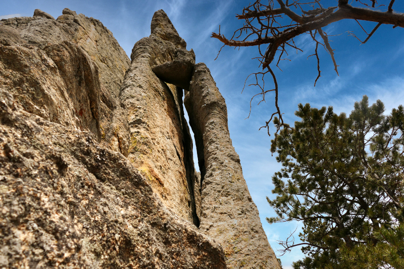 Bilder Cathedral Spires [Custer State Park] - Pictures Cathedral Spires [Custer State Park]