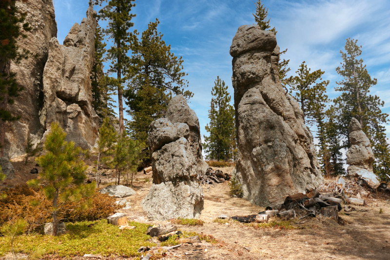 Bilder Cathedral Spires [Custer State Park] - Pictures Cathedral Spires [Custer State Park]