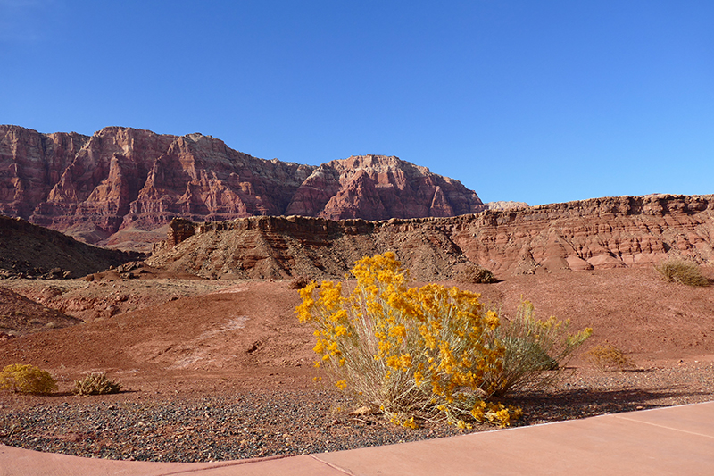 Cathedral Wash [Glen Canyon National Recreation Area]