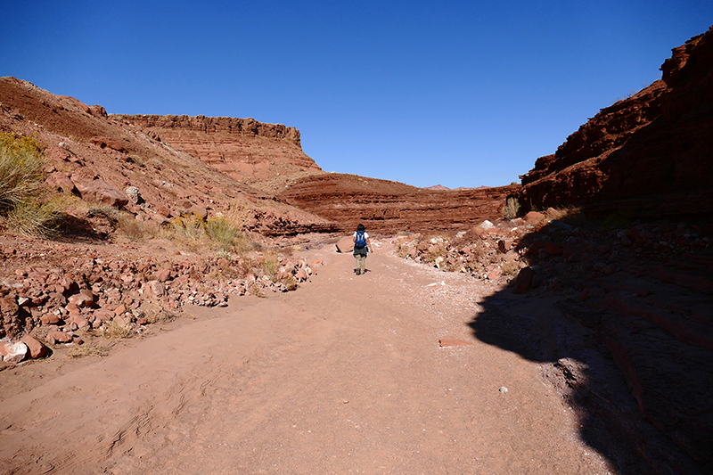 Cathedral Wash [Glen Canyon National Recreation Area]