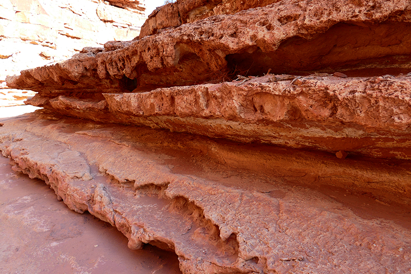 Cathedral Wash [Glen Canyon National Recreation Area]