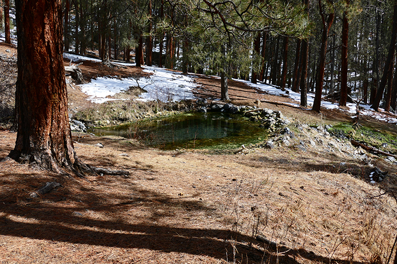 McCauley Hot Springs [Canon de San Diego]