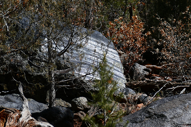 McCauley Hot Springs [Canon de San Diego]