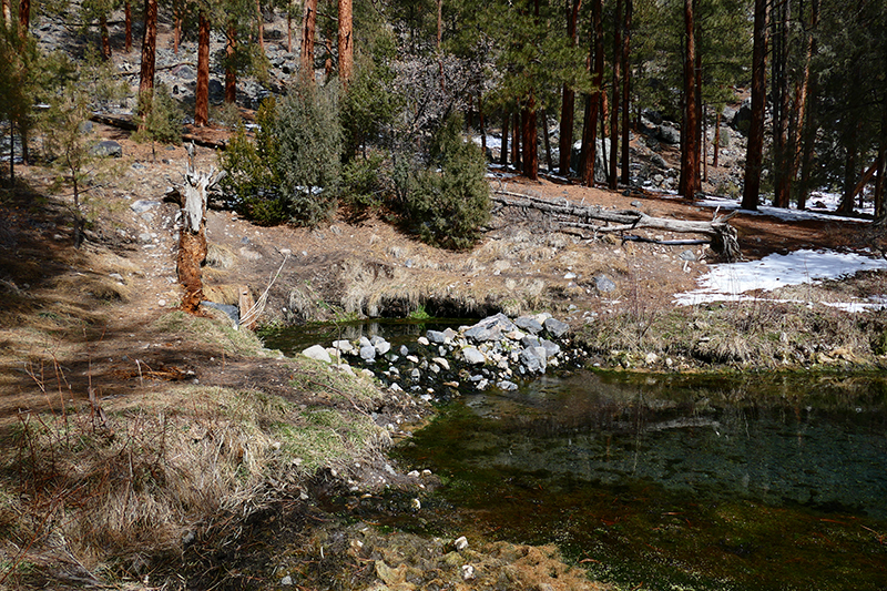 McCauley Hot Springs [Canon de San Diego]