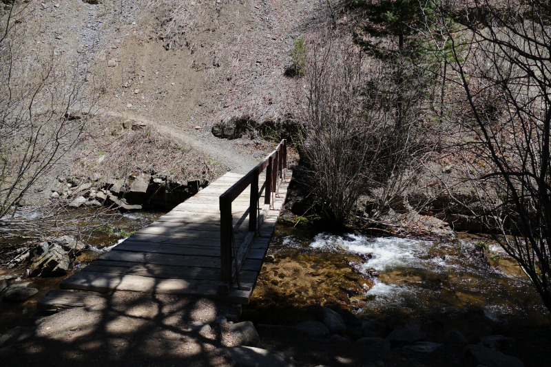 Cave Creek Trail [Santa Fe National Forest]