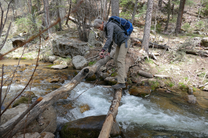Cave Creek Trail [Santa Fe National Forest]
