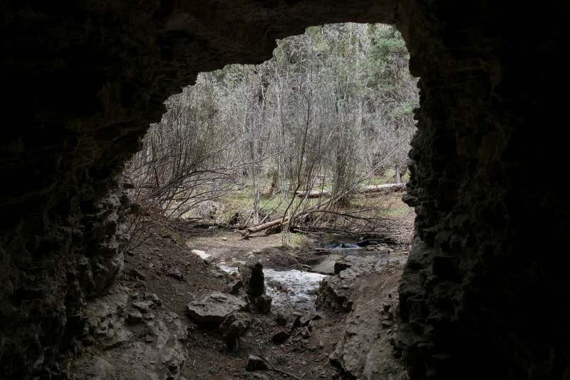 Cave Creek Trail [Santa Fe National Forest]