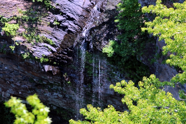 Cedar Falls [Petit Jean State Park]