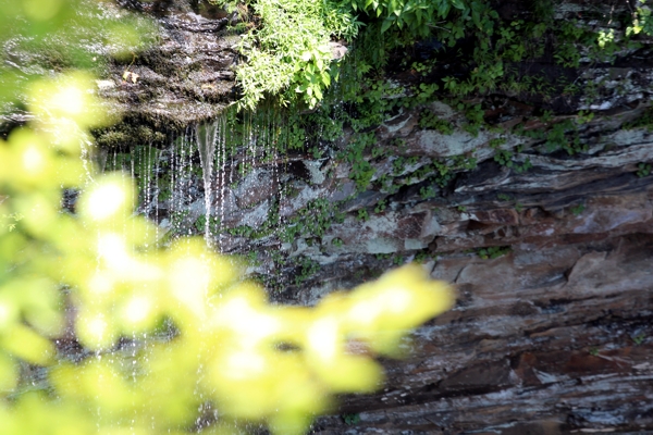 Cedar Falls [Petit Jean State Park]