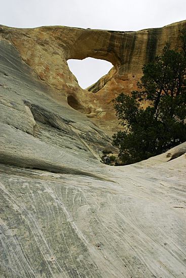 Cedar Wash Arch