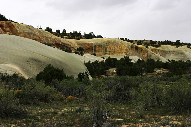 Cedar Wash Arch