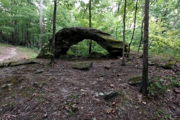 Cedar Wonders Arch