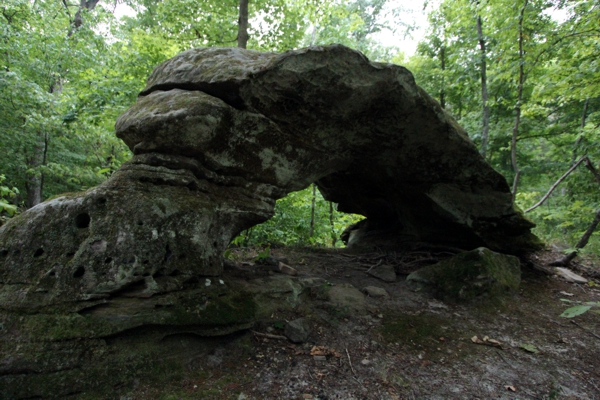 Cedar Wonders Arch