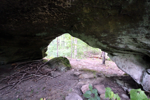 Cedar Wonders Arch