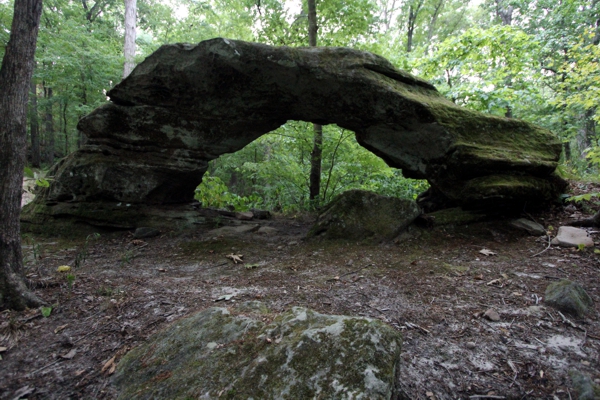 Cedar Wonders Arch