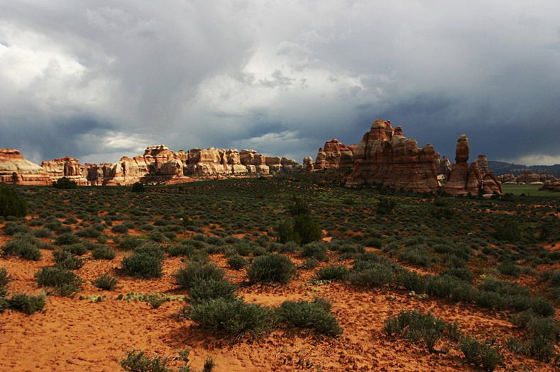 Chesler Park und Joint Canyon