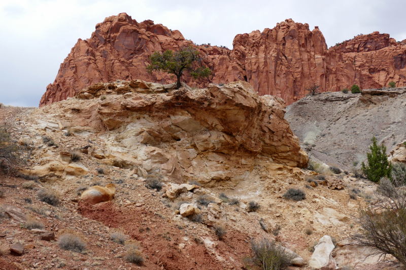 Chimney Rock Trail [Capitol Reef National Park]