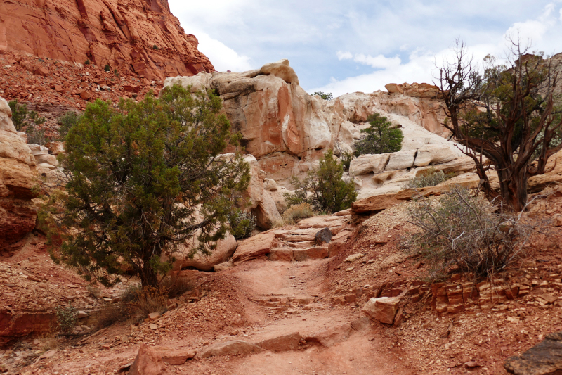 Chimney Rock Trail [Capitol Reef National Park]