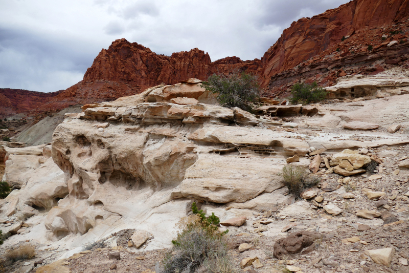 Chimney Rock Trail [Capitol Reef National Park]