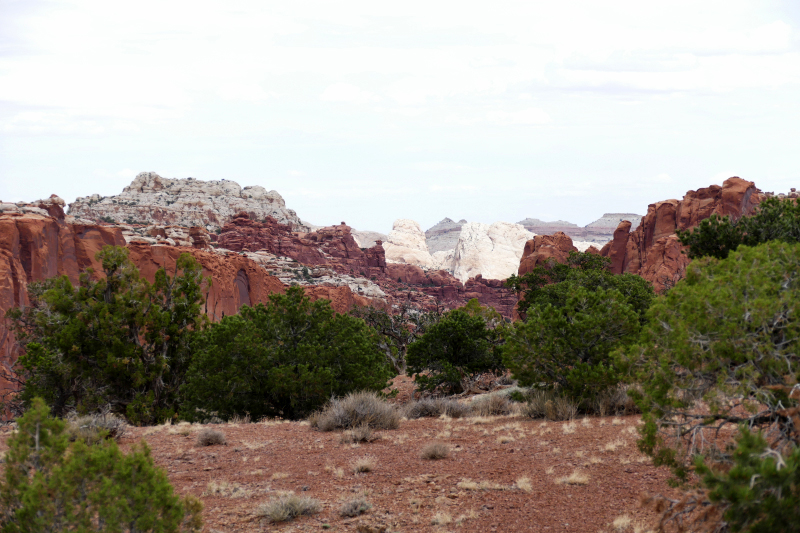 Chimney Rock Trail [Capitol Reef National Park]