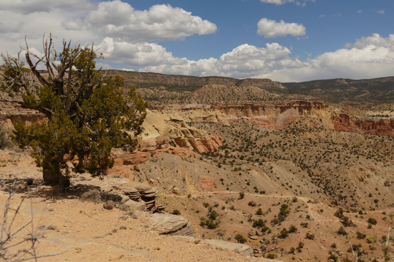 USA Hiking Database: Bilder Chimney Rock Trail [Carson National Forest] - Pictures Chimney Rock Trail [Carson National Forest]