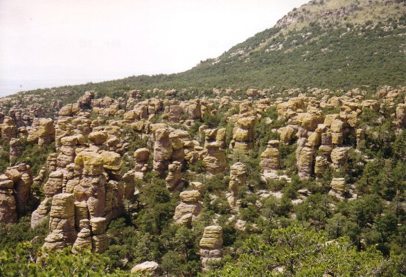 Chiricahua National Monument