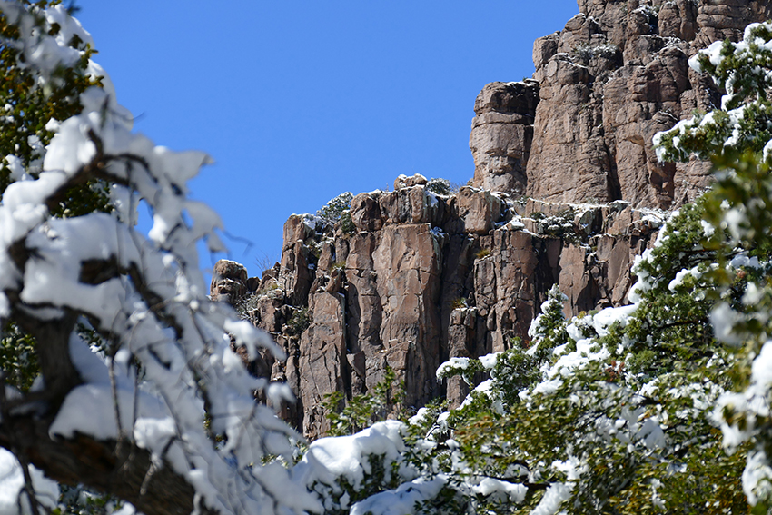 Chiricahua National Monument