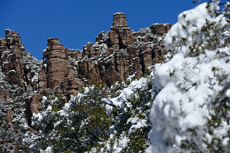 Chiricahua National Monument