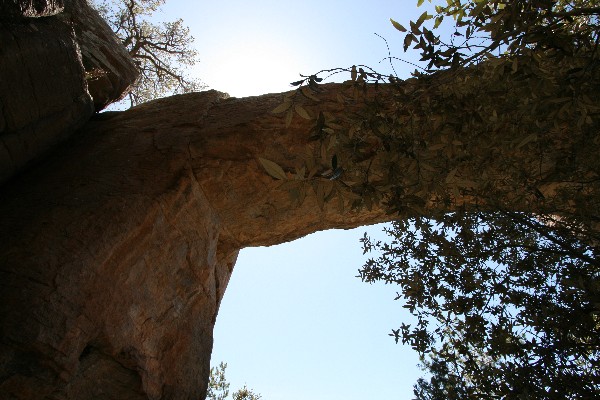 Chiricahua Natural Bridge