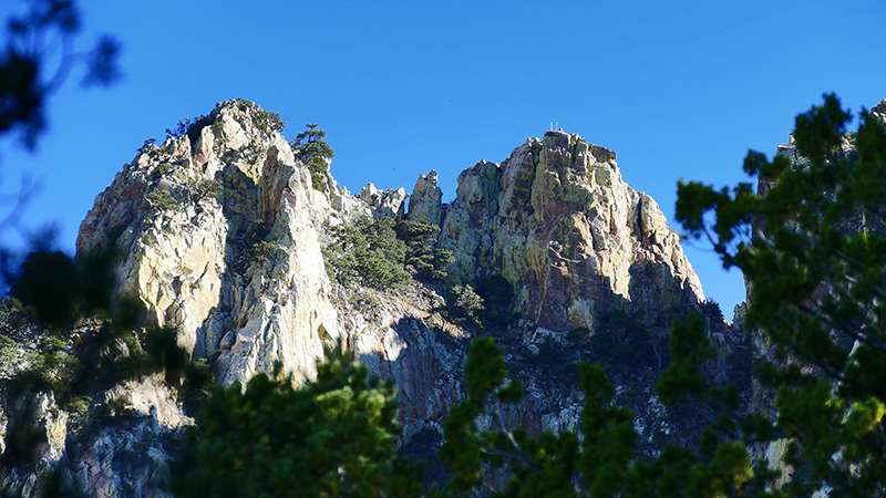 South Rim Loop [Big Bend National Park]